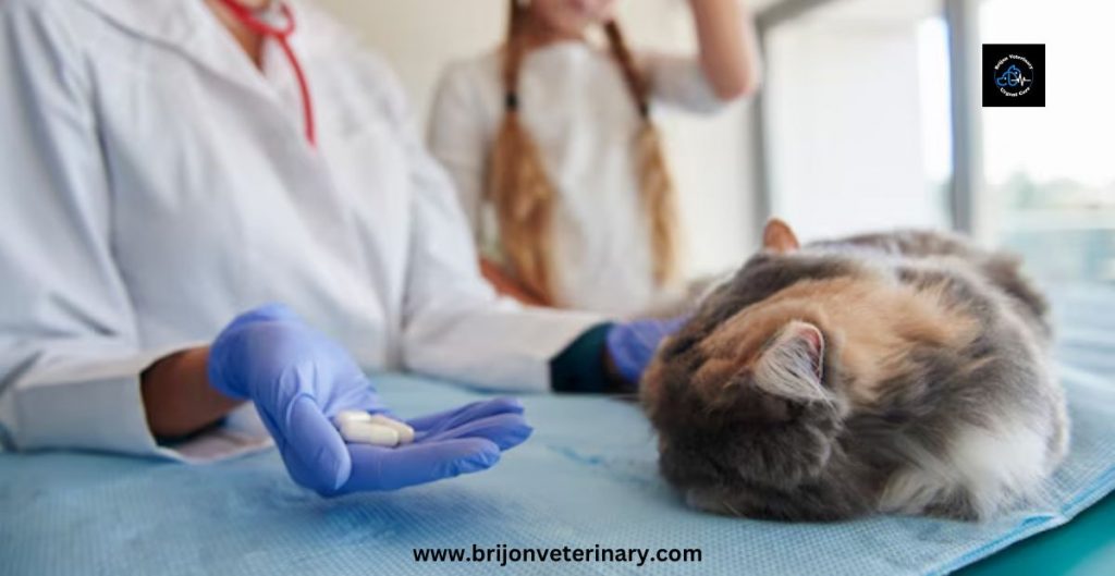 brijonveterinary